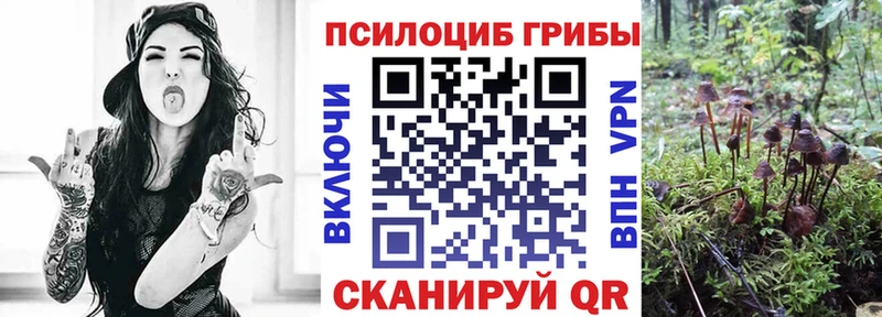 Псилоцибиновые грибы мицелий  Сунжа 
