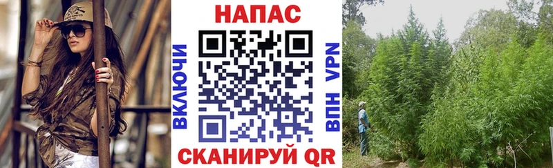 Марихуана Bruce Banner  Сунжа 
